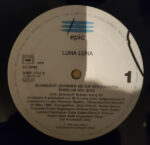 Luna Luna-4