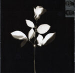 Depeche Mode-3