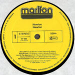 Newton*-2