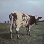 Pink Floyd-0