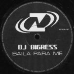 DJ Digress-1