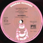 Trammps*-1