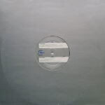Charlie Dore-2