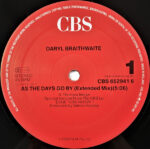 Daryl Braithwaite-2
