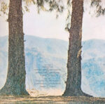 Neil Young With Crazy Horse-3