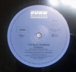 The Beat Farmers-2