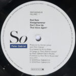 Peter Gabriel-2