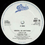Mental As Anything-2