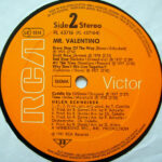Helen Schneider-3