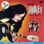 David Lindley And El Rayo-X-0