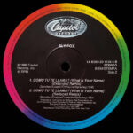 Sly Fox-3