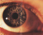 The Cure-3