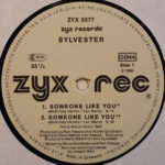 Sylvester-2