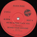 Black Rose (5)-2