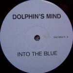 Dolphin's Mind-0