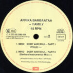 Afrika Bambaataa & Family-3