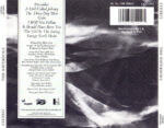 The Waterboys-4