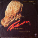 Secret Service-1