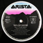 Taylor Dayne-2