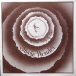 Stevie Wonder-3