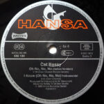 Cat Bassy-3