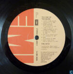 The Cats-2