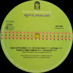 Angelo Branduardi-4