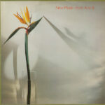 New Musik-0