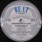 Ambassadors Of Funk-2