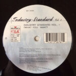 Industry Standard (2)-3