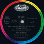 Tina Turner-2