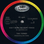 Tina Turner-3