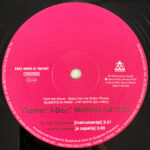 Tionne "T-Boz" Watkins*-3