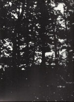 Various-2