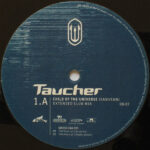 Taucher-2