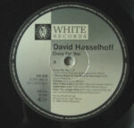 David Hasselhoff-2