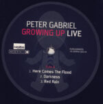 Peter Gabriel-4