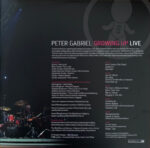 Peter Gabriel-2