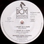 Brandon Cooke Featuring Roxanne Shante*-2