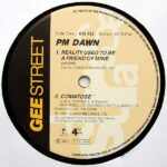 P.M. Dawn-3