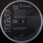 The Blow Monkeys-2
