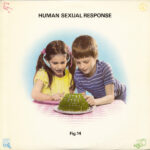Human Sexual Response-0