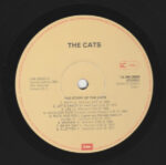 The Cats-2