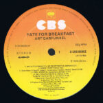 Art Garfunkel-2