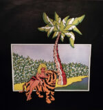 Cat Stevens-4