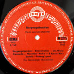 Die Sternberger Musikanten-2