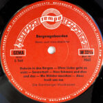 Die Sternberger Musikanten-3