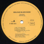 Bolivar Blues Band-2