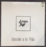 Grupo Sur (2)-0