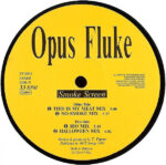 Opus Fluke-1